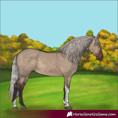 Horse Color:Silver Brown Dun Tobiano Rabicano 