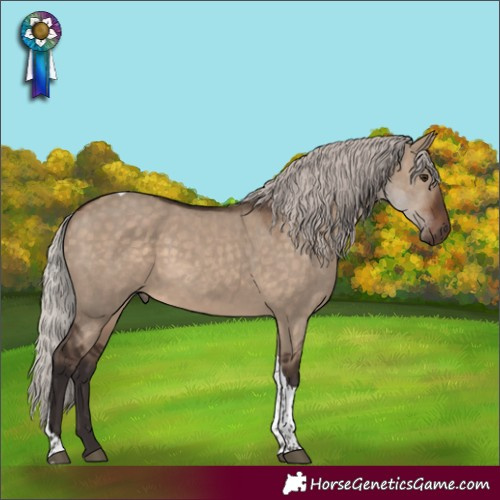 Horse Color:Silver Brown Dun Tobiano Rabicano