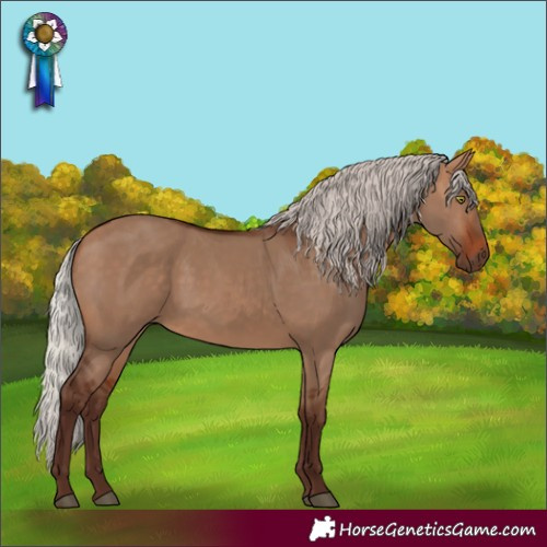 Horse Color:White Spotted Silver Bay Dun Rabicano 