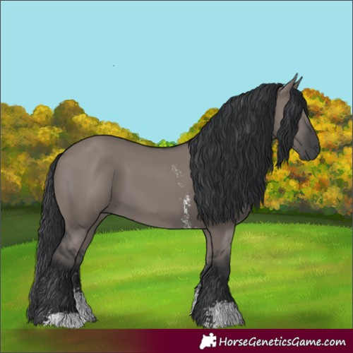 Horse Color:Grullo Sabino Rabicano 