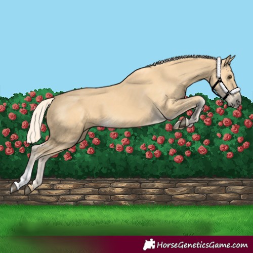 Horse Color:Palomino 