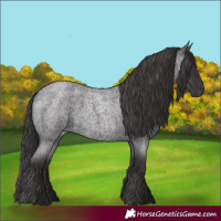 Horse Color:Smoky Blue Roan