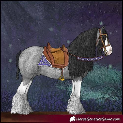 Horse Color:Blue Roan Splash