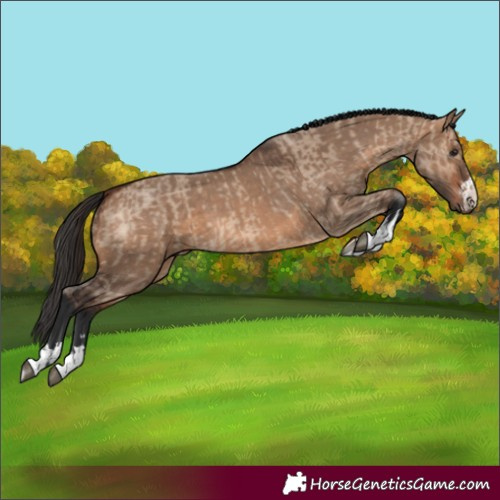 Horse Color:Brown Dun  and Brown Dun 