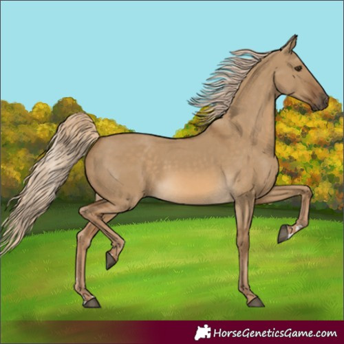 Horse Color:Chocolate Palomino Dun