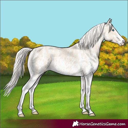 Horse Color:Cremello Sabino and Cremello Sabino