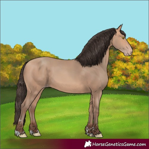 Horse Color:Amber Champagne