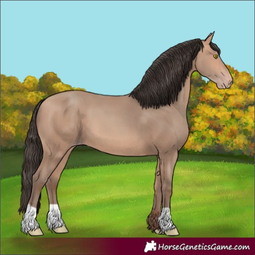 Horse Color:Amber Champagne 