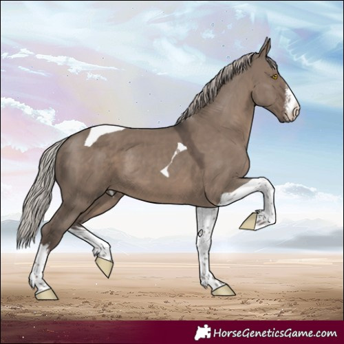 Horse Color:White Spotted Silver Grullo Tobiano 