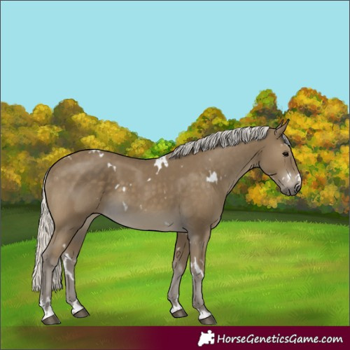 Horse Color:White Spotted Silver Smoky Black 