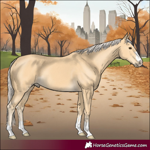 Horse Color:Palomino