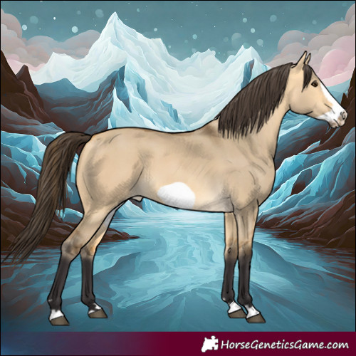 Horse Color:Buckskin Dun Frame