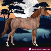 Horse Color:Red Roan
