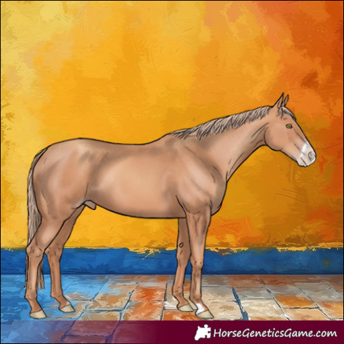 Horse Color:Gold Champagne Frame