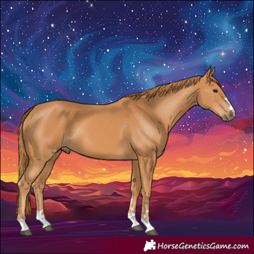 Horse Color:Chestnut 