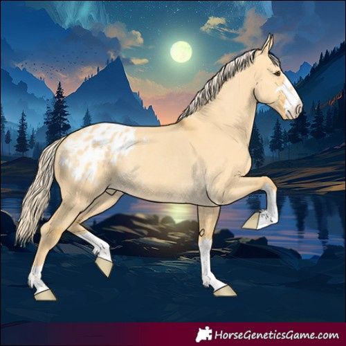 Horse Color:Palomino Dun Appaloosa Rabicano 
