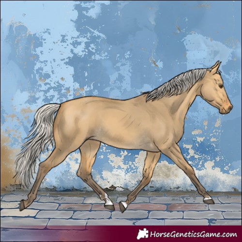 Horse Color:Silver Buckskin Dun