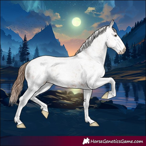 Horse Color:White Spotted Chestnut Varnish