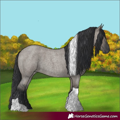 Horse Color:Grullo Roan Tobiano