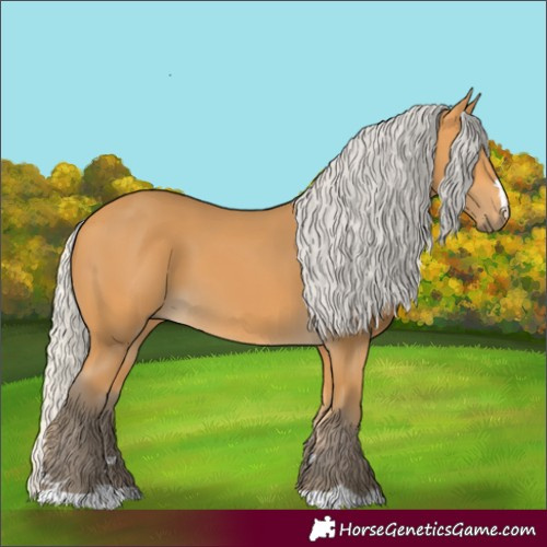 Horse Color:Silver Buckskin 