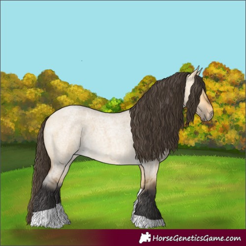Horse Color:Buckskin Roan Dun Tobiano 