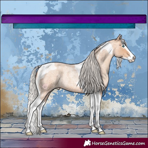Horse Color:Silver Amber Champagne Roan Splash Tobiano