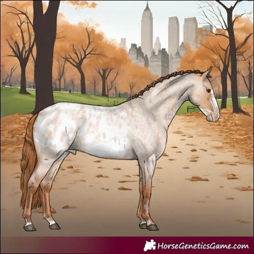 Horse Color:Red Dun Roan Frame Blanket