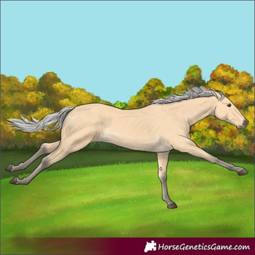 Horse Color:Silver Buckskin