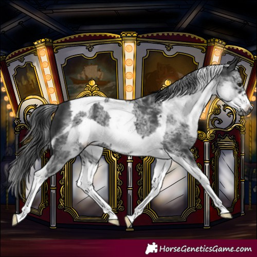 Horse Color:White Spotted Black Tobiano Frame
