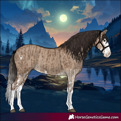 Horse Color:Liver Red Dun Splash and Liver Red Dun Splash