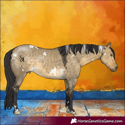 Horse Color:White Spotted Buckskin Dun Rabicano 
