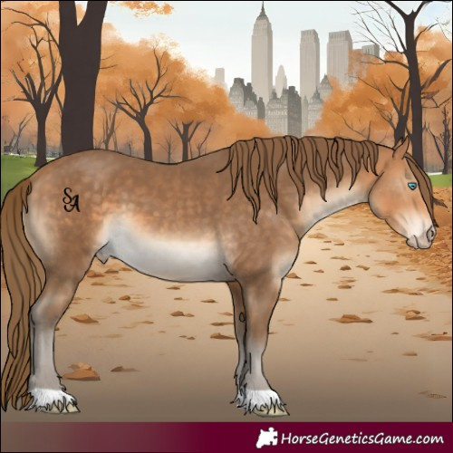 Horse Color:Gray Perlino 