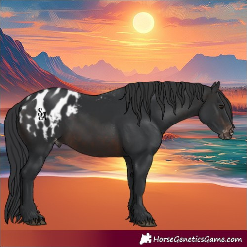 Horse Color:Brown Mushroom Blanket Rabicano