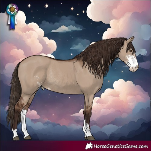 Horse Color:Liver Red Dun Sabino Rabicano 
