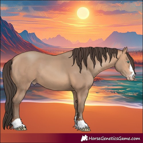 Horse Color:Amber Champagne