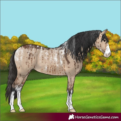 Horse Color:Powder White Bay Dun Brindle 