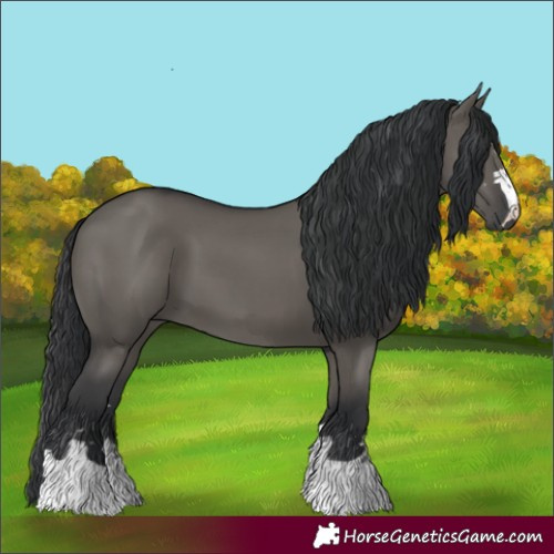 Horse Color:Grullo