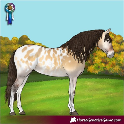 Horse Color:Gray Buckskin Onyx Tobiano Near Leopard 