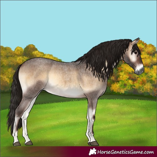 Horse Color:Gray Bay Roan Onyx 