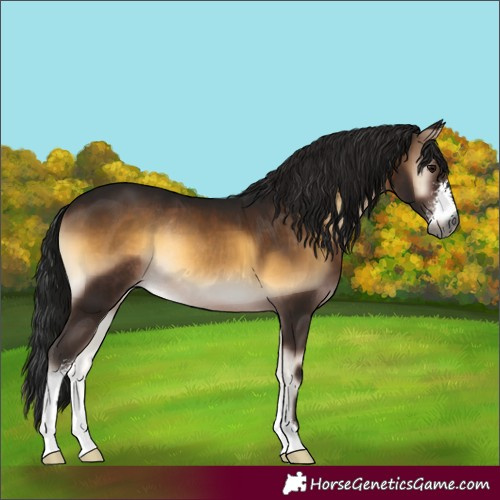 Horse Color:Gray Brown Onyx Sabino Rabicano