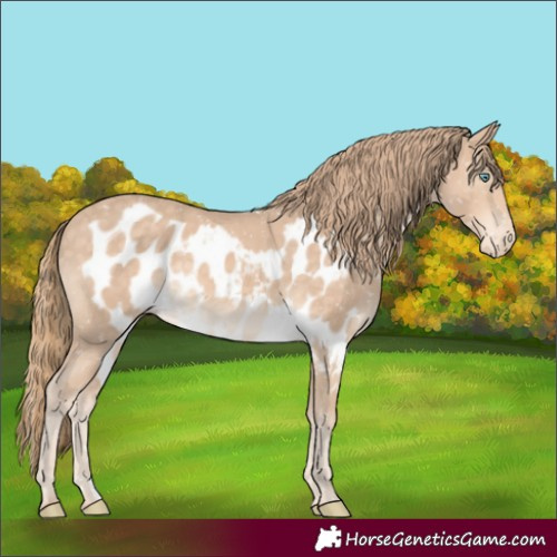 Horse Color:Perlino Skewed LP Spotted 