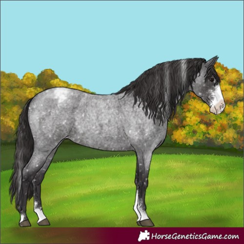Horse Color:Smoky Blue Roan Sabino Snowflake Varnish 