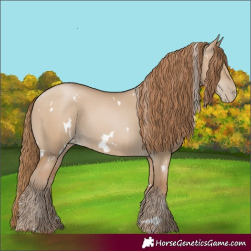 Horse Color:White Spotted Grullo Pearl Rabicano 