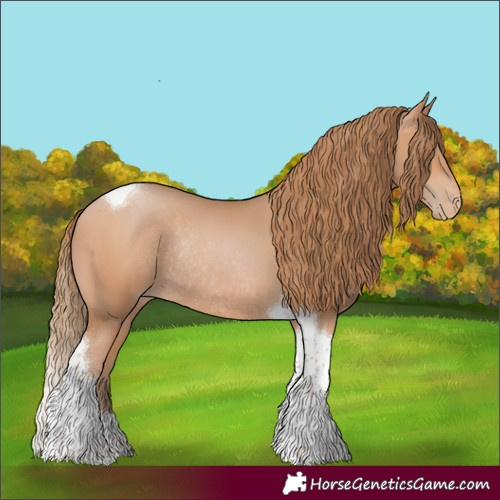 Horse Color:Bay Pearl Tobiano Rabicano