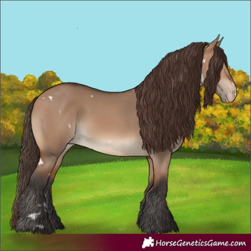 Horse Color:White Spotted Bay Dun Appaloosa Rabicano