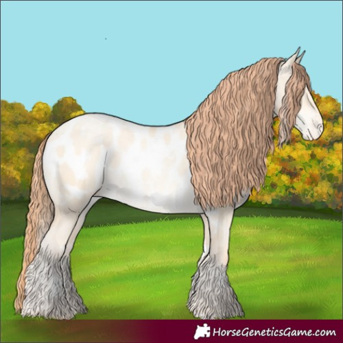 Horse Color:White Spotted Amber Cream Champagne Pearl Dun Appaloosa 