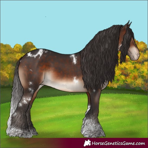 Horse Color:White Spotted Brown Tobiano Varnish Rabicano 