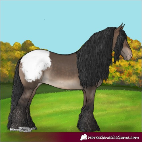 Horse Color:Brown Dun Snowcap Rabicano 