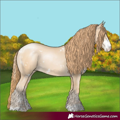 Horse Color:White Spotted Smoky Black Pearl Sabino Rabicano 