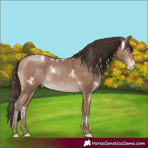 Horse Color:White Spotted Sable Champagne Varnish 